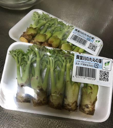 マダムSと築地場内市場へ春の食材を買いに・・_c0177332_05404009.jpg