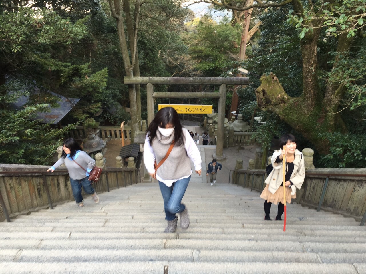 d0174135_10452194.jpeg