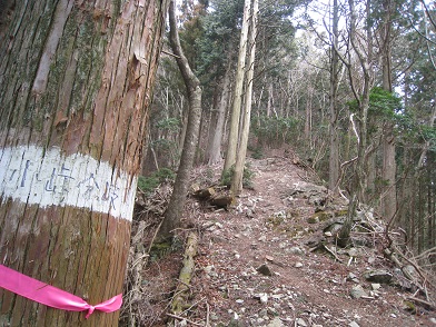 伊勢の槍ケ岳　三重県松阪市　局ケ岳（１０２９ｍ）_c0077338_1034649.jpg