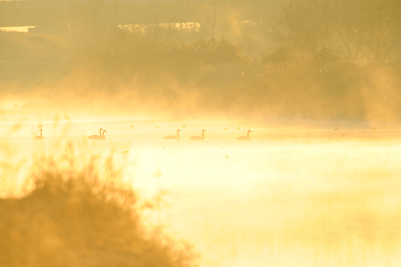 d0290240_16554194.gif