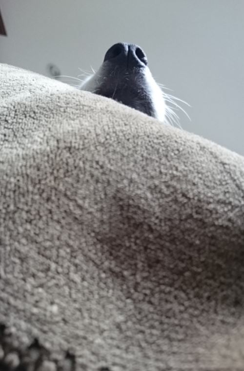 c0147241_14313533.jpg