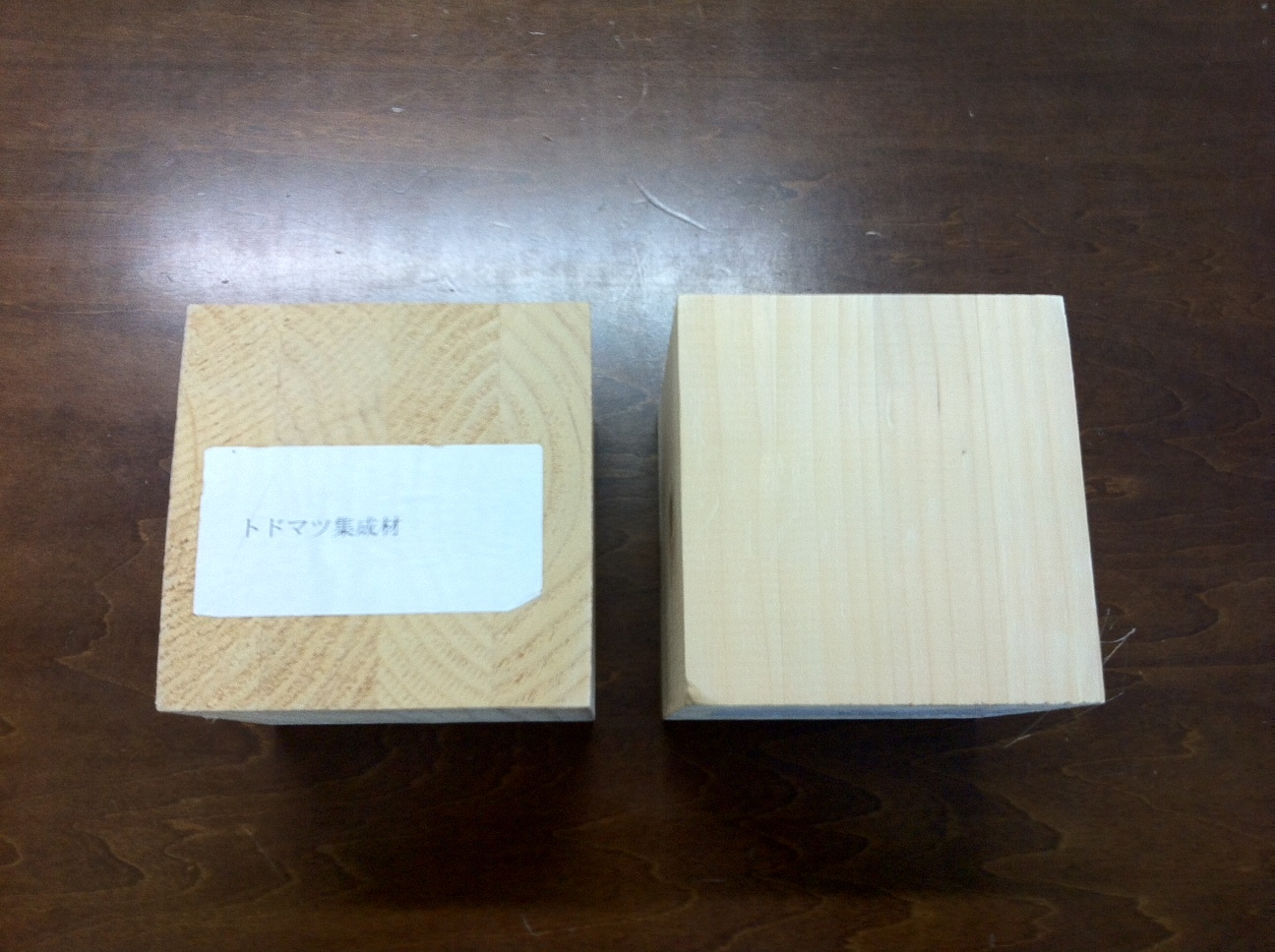 保存版「勉強会」その2カラマツⅣ_e0172341_08014933.jpg