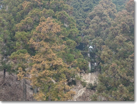 c0147448_14415565.jpg