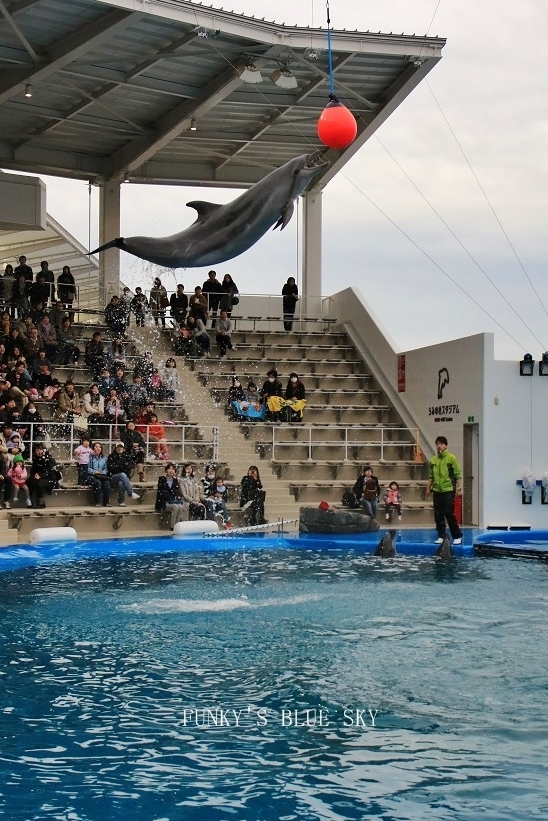 c0145250_09593500.jpg