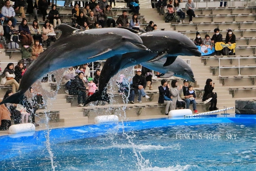 c0145250_09594329.jpg