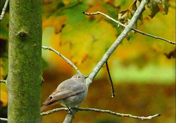 f0140054_12331574.jpg