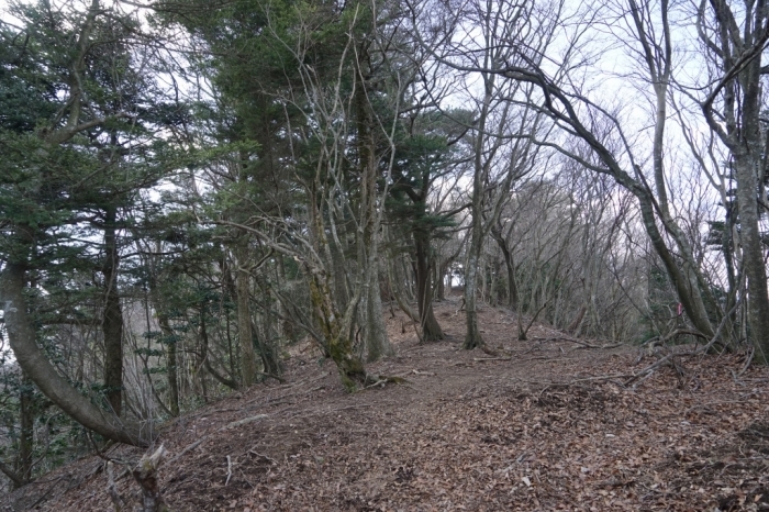 岩峰のアスレチック＠大山三峰山　2016.03.02(水)_f0344554_10142263.jpg