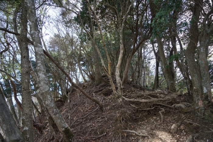 岩峰のアスレチック＠大山三峰山　2016.03.02(水)_f0344554_10155365.jpg