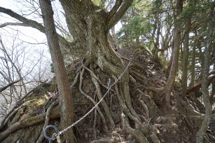 岩峰のアスレチック＠大山三峰山　2016.03.02(水)_f0344554_10173675.jpg