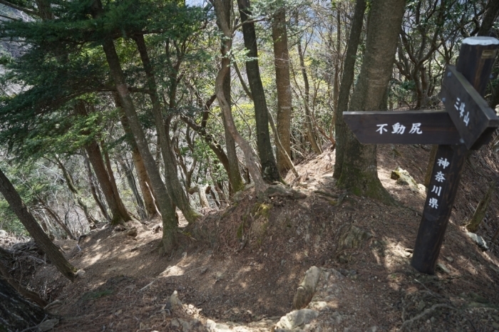 岩峰のアスレチック＠大山三峰山　2016.03.02(水)_f0344554_10173746.jpg