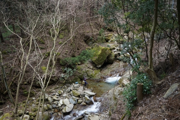 岩峰のアスレチック＠大山三峰山　2016.03.02(水)_f0344554_10183755.jpg