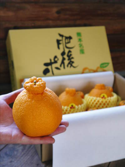 山あいの南高梅 満開の花!しっかり手をかけ元気な花を咲かせました!!_a0254656_2015266.jpg
