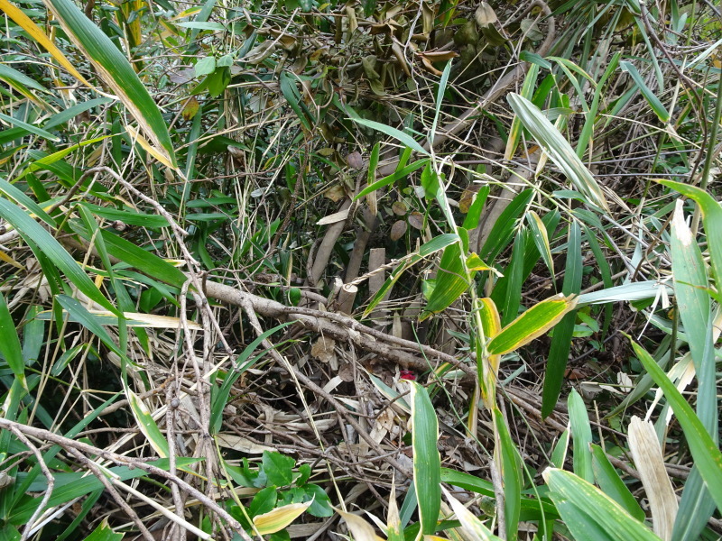c0108460_23413813.jpg