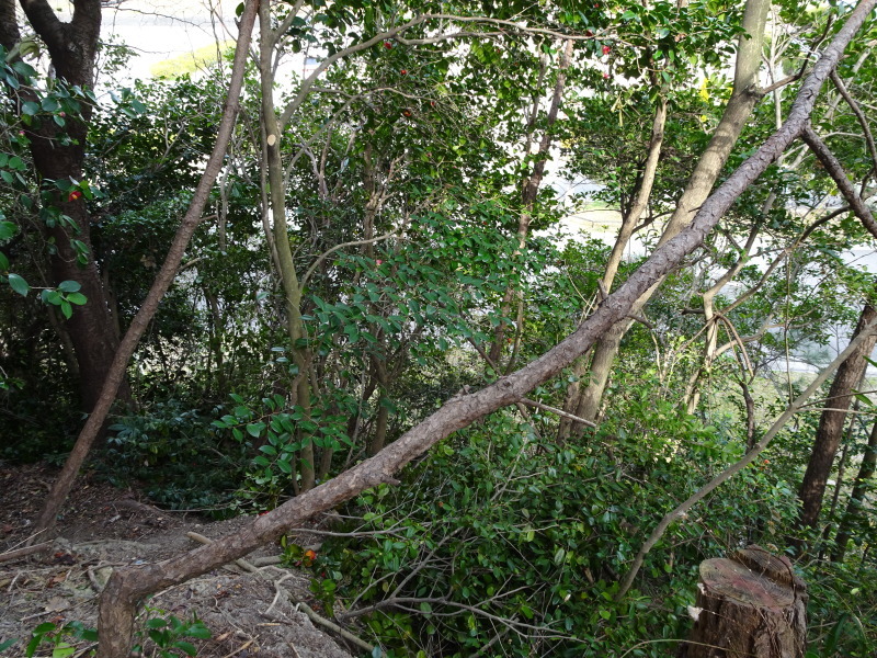 c0108460_23422484.jpg