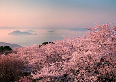 春の桜撮影ツアー・・４月2日（土）・3日（日）_b0154362_18155958.jpg