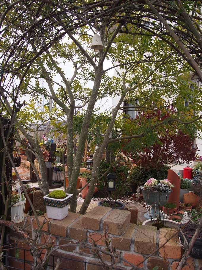 b0194267_1491251.jpg