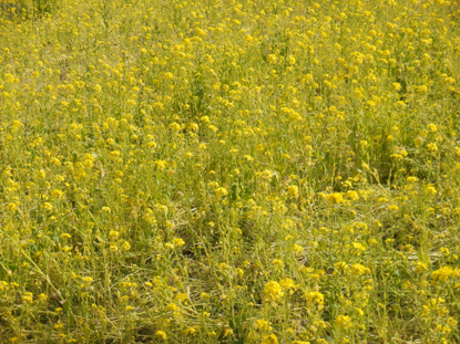 f0228973_1201217.jpg
