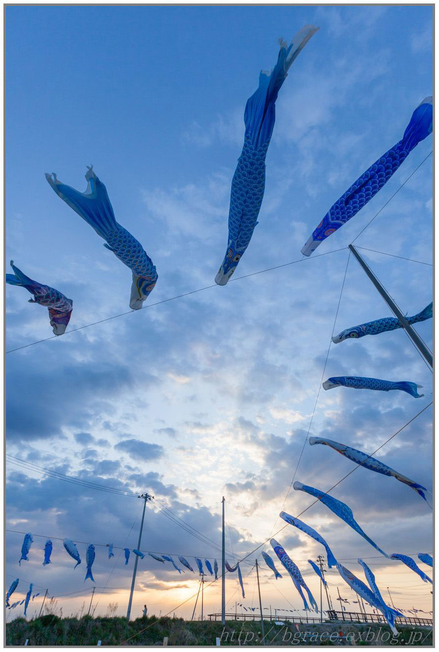 写真展の作品 【夕暮れに舞う】_b0191074_12542750.jpg