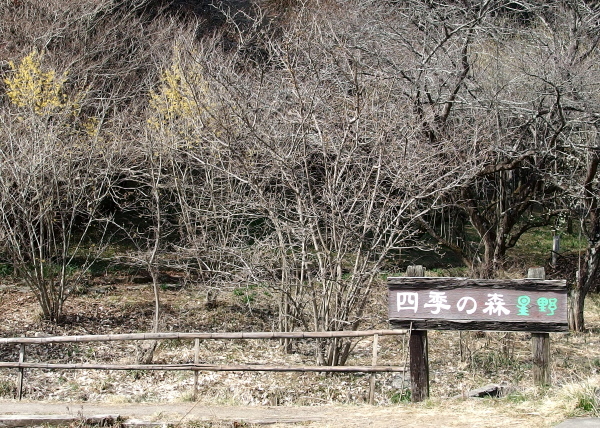 a0347276_16245664.jpg