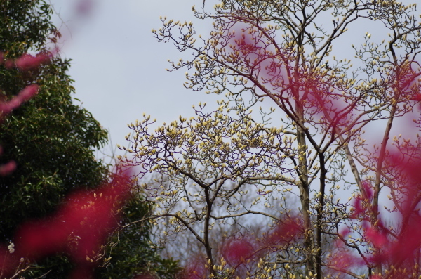 c0324382_21245543.jpg