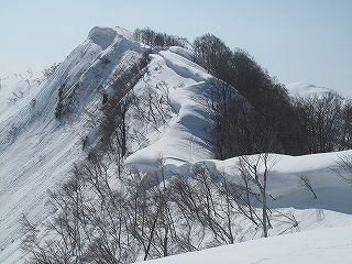 ブナ・ミズメの原生林をテレマークで辿る（赤摩木古山東尾根）_e0064783_21531225.jpg