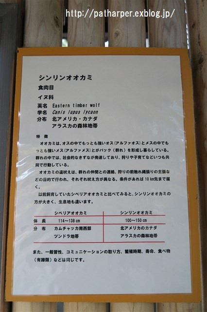 a0052986_19274799.jpg