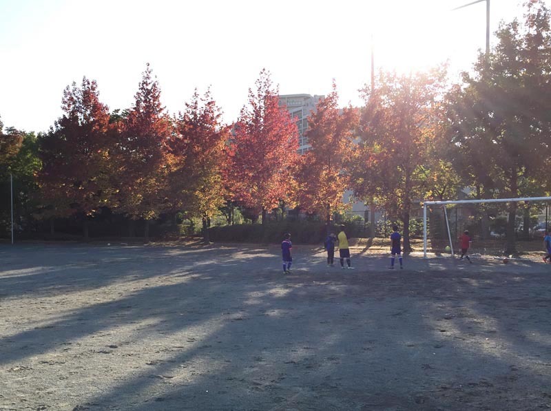 茅ヶ崎公園_f0253789_19595771.jpg