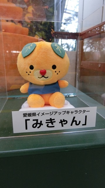 藤田八束の地方創生@西宮市のマスコット「みやたん」と愛媛のマスコット「みきゃん」_d0181492_09472842.jpg