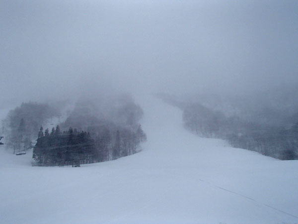a0043193_13141327.jpg