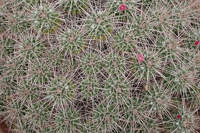 f0203094_14291224.jpg