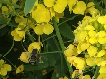 c0155198_17105517.jpg