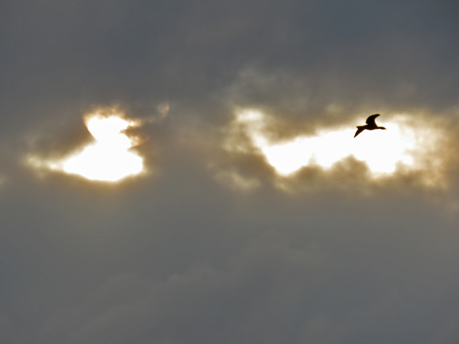c0049299_2249339.jpg