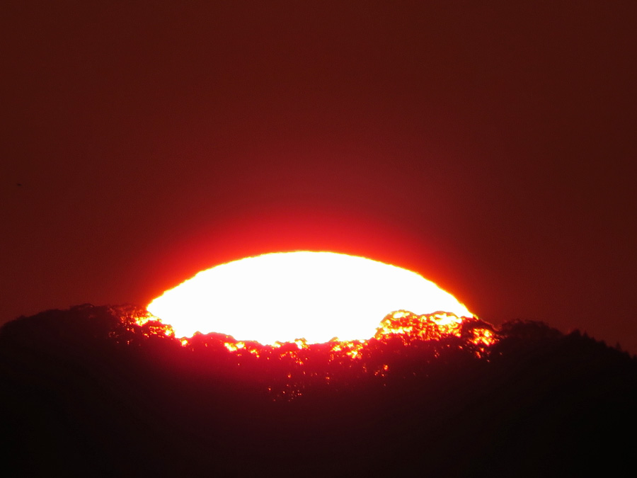 c0049299_2305951.jpg