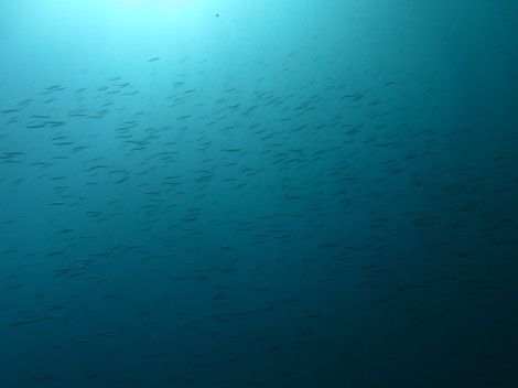e0115199_12342308.jpg