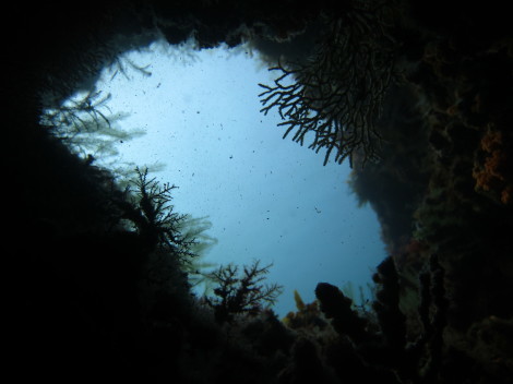 e0115199_12383386.jpg