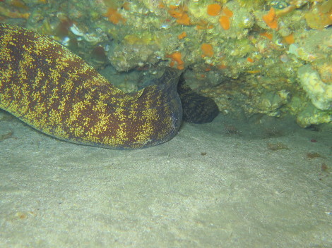 e0115199_12393438.jpg