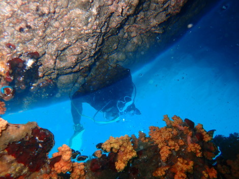 e0115199_12421328.jpg