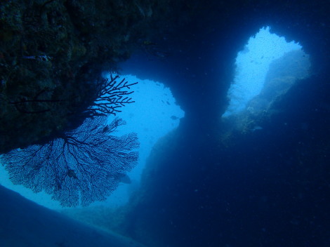 e0115199_12425683.jpg