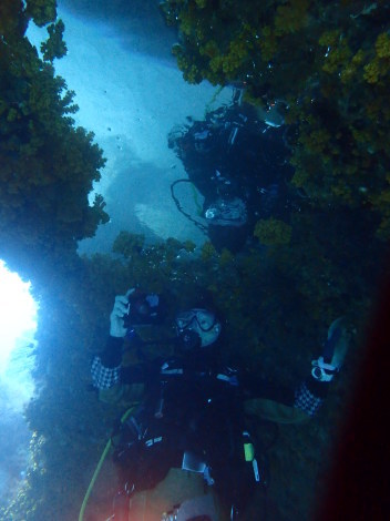 e0115199_12433006.jpg