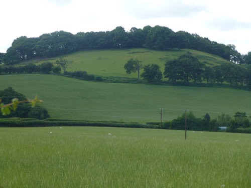 c0072801_651440.jpg
