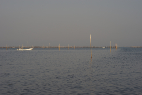 海界の村を歩く 有明海 湯島(熊本県)_d0147406_23131237.jpg
