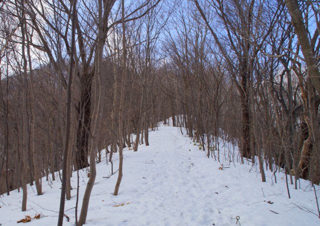 a0345007_2192930.jpg