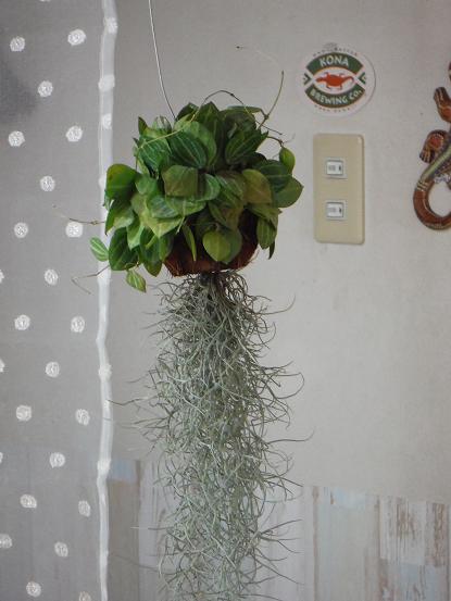 f0226208_1439924.jpg