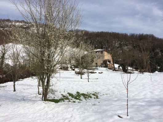 a0142810_17285799.jpeg