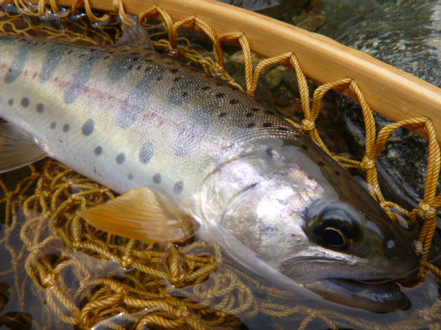 a0240911_23151436.jpg