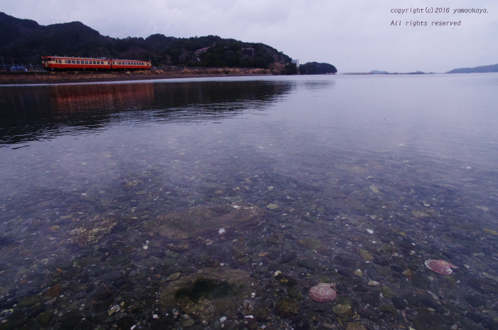 参宮線のキハ48_d0309612_15149.jpg