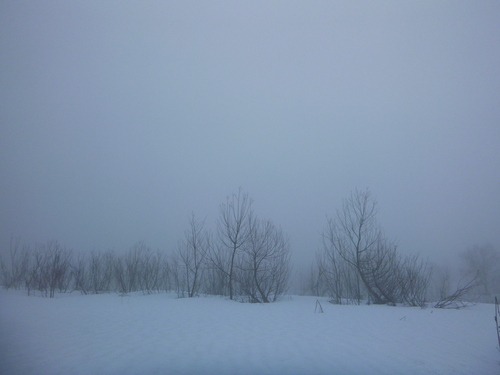 a0236914_9393330.jpg