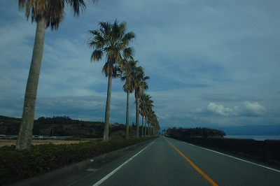 f0193521_401318.jpg