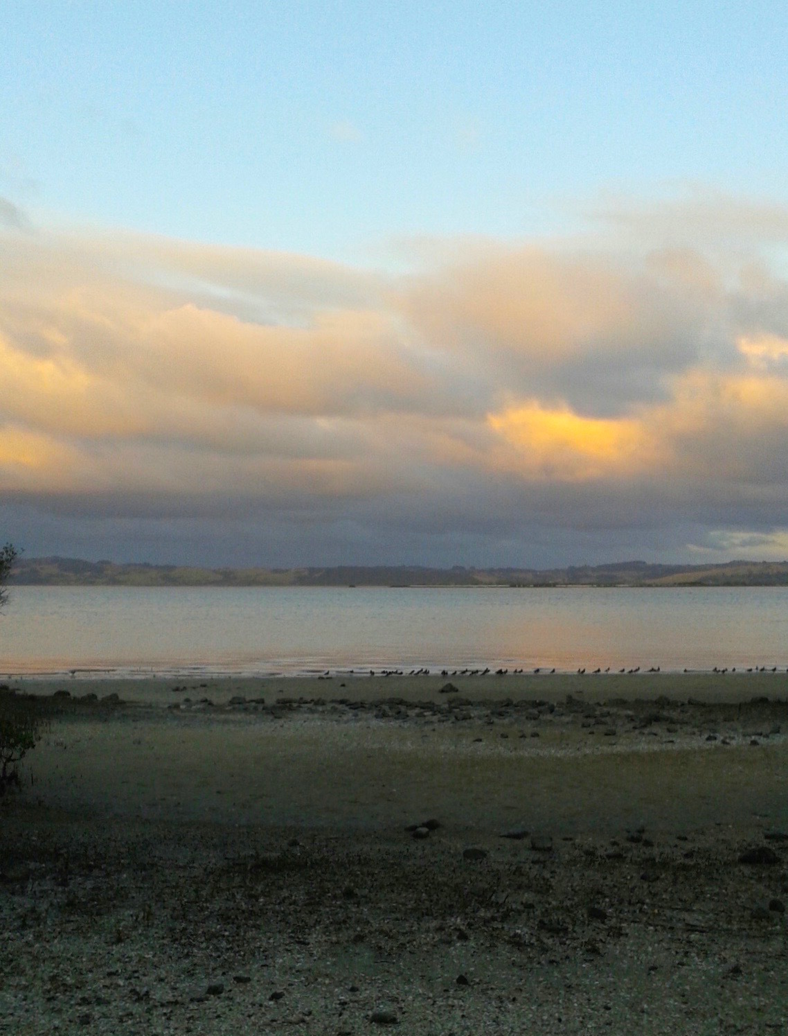 e0310424_07394851.jpg