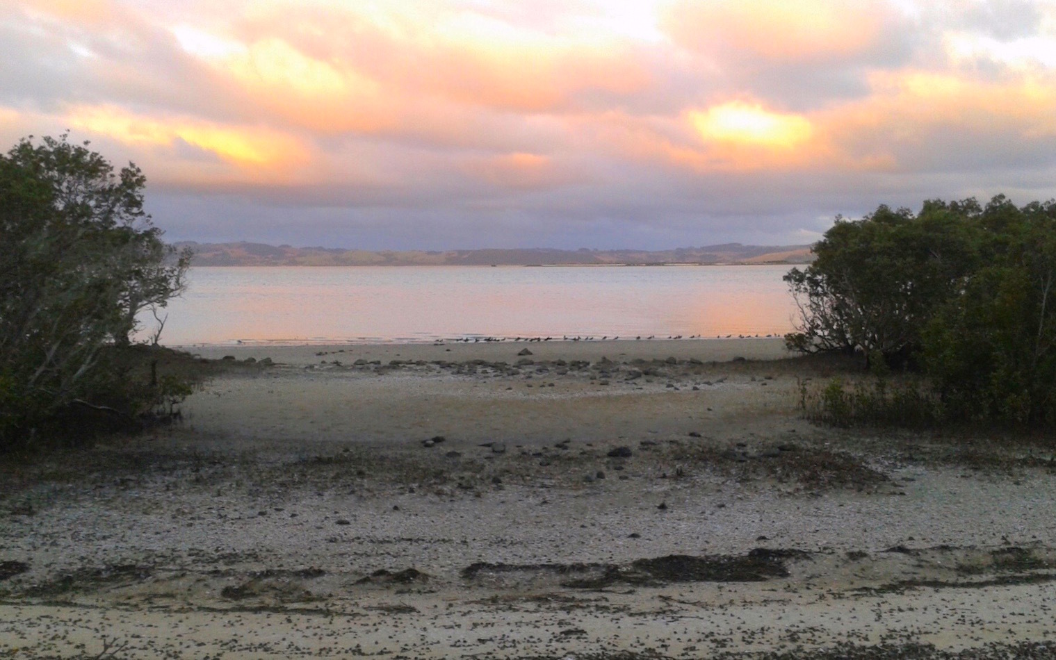 e0310424_07395738.jpg